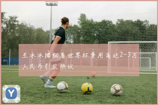 王冰冰揭秘看世界杯费用高达2-3万人民币引发热议